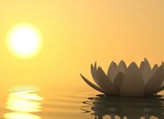 Captivating Mid-Autumn Festival Greetings and Messages: A Heartwarming Collection