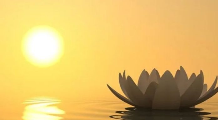 Captivating Mid-Autumn Festival Greetings and Messages: A Heartwarming Collection