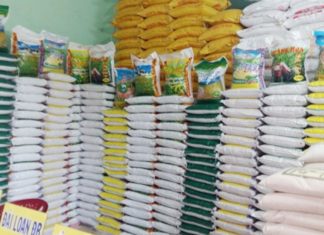Top 5 Charitable Rice Distributors: Great Prices, Quality Guaranteed