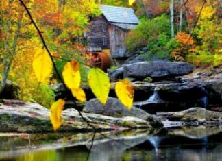 The Best 15 Autumn Poems: Captivating and Heartwarming Verses