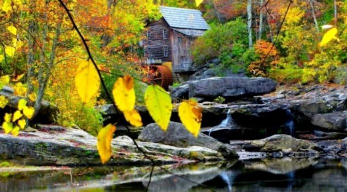 The Best 15 Autumn Poems: Captivating and Heartwarming Verses