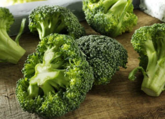 The Top 20 Shade-Loving Vegetables That Thrive With Minimal Sunlight and Are Super Easy to Grow at Home