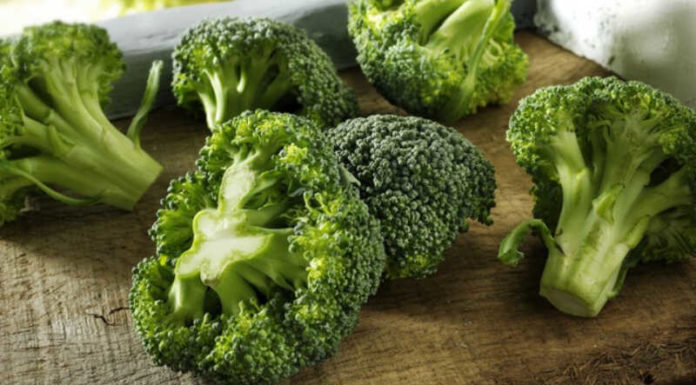 The Top 20 Shade-Loving Vegetables That Thrive With Minimal Sunlight and Are Super Easy to Grow at Home