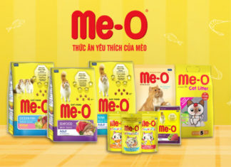 The Best Budget-Friendly Cat Foods on the Market