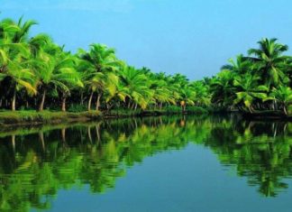 The Top 5 Must-See Tourist Spots in Gio Trang (Ben Tre)