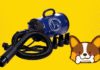 The 5 Ultimate Dog Hair Dryers on the Market Today