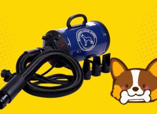 The 5 Ultimate Dog Hair Dryers on the Market Today