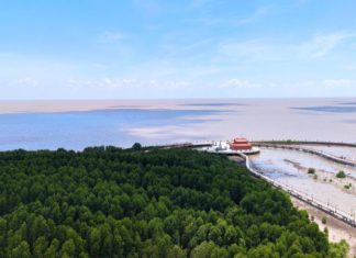 The Ultimate Guide to the Top 7 Travel Destinations in Ngoc Hien, Ca Mau