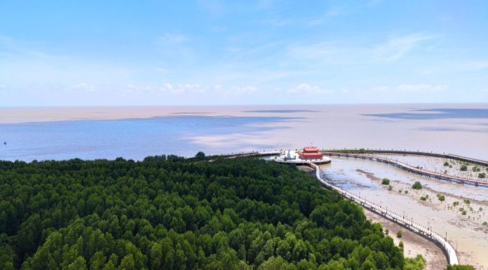 The Ultimate Guide to the Top 7 Travel Destinations in Ngoc Hien, Ca Mau
