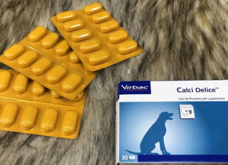 The Ultimate Guide to the Top 7 Best Calcium Supplements for Dogs