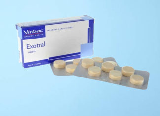 The Ultimate Guide: 7 Best Deworming Treatments for Cats