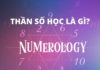 The Ultimate Guide to the Top 8 Ways to Discover Your Numerology for Free