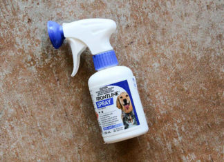 The Ultimate Handbook to the Elite 8: Powerful Flea Treatments for Your Canine Companion