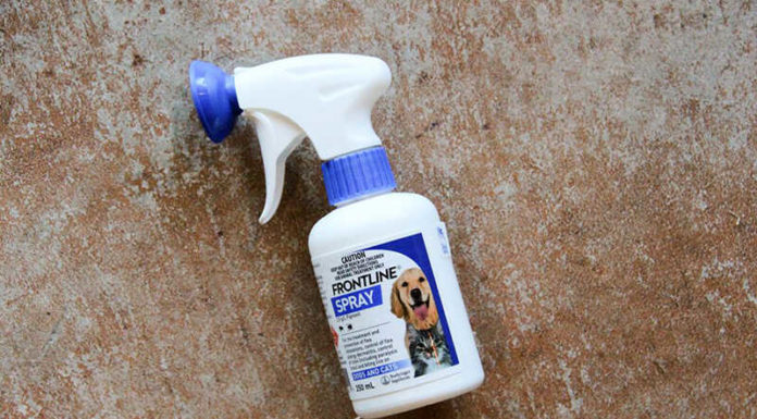 The Ultimate Handbook to the Elite 8: Powerful Flea Treatments for Your Canine Companion