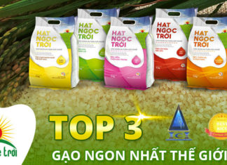 The Ultimate Guide to the Finest Organic Rice Brands: A Tried and True Collection.