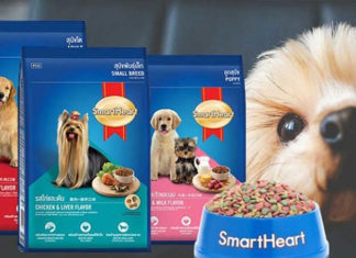 The Ultimate Guide to Delicious and Affordable Dog Food: Treats Your Pup Will Go Wild For!