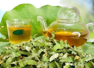 How to Use Lotus Leaf Tea for Safe and Effective Weight Loss