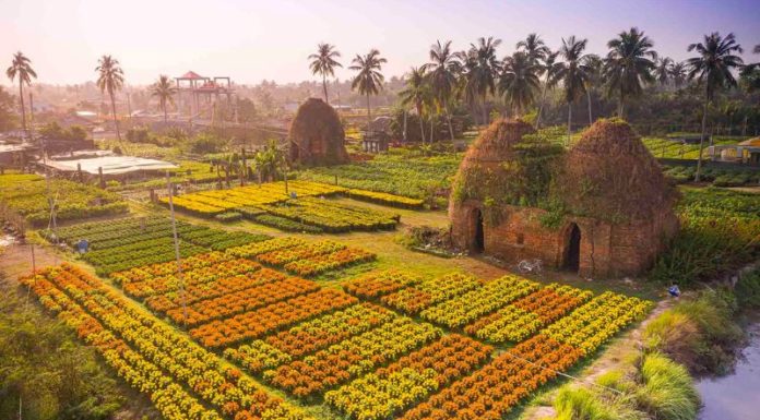 Exploring Cho Lach (Ben Tre) – 5 Must-Visit Attractions