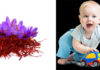 Can Children Use Saffron Stigma?