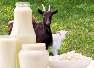Is Goat Milk Good for Infants? Unveiling the Benefits of Goat Milk for Newborns