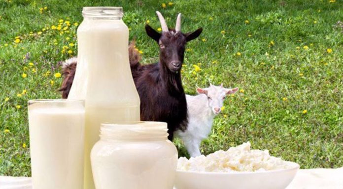 Is Goat Milk Good for Infants? Unveiling the Benefits of Goat Milk for Newborns