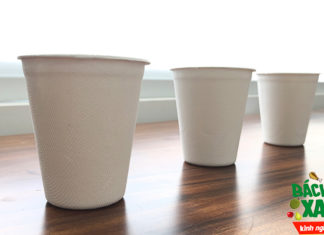 Unveiling the Revolutionary Sugarcane Fiber Tableware: A Safer Alternative to Styrofoam for a Cancer-Free Future