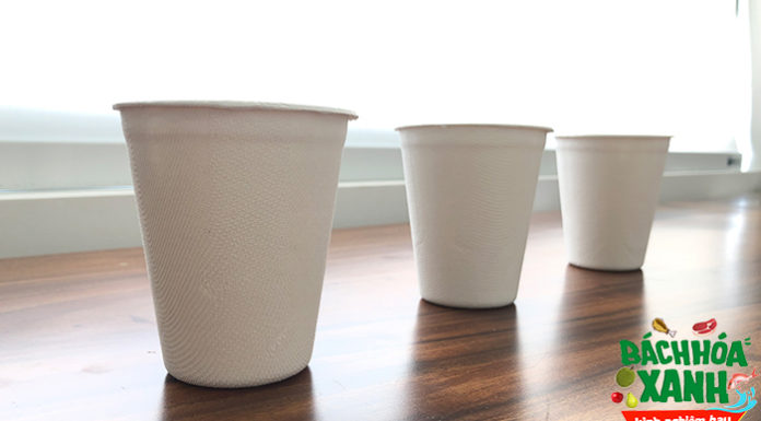 Unveiling the Revolutionary Sugarcane Fiber Tableware: A Safer Alternative to Styrofoam for a Cancer-Free Future
