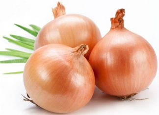 “The Ultimate Guide to Growing Onions in a Glass of Water: A Beautiful and Stress-Relieving Hobby”