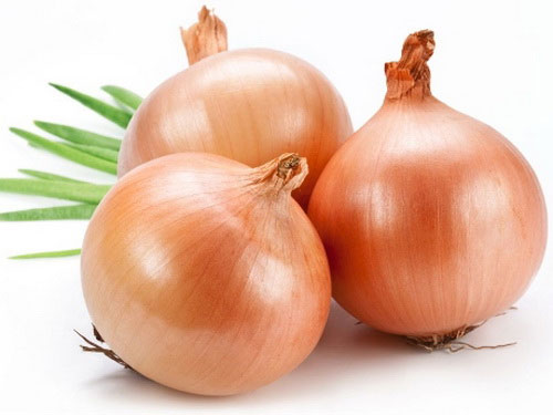 “The Ultimate Guide to Growing Onions in a Glass of Water: A Beautiful and Stress-Relieving Hobby”