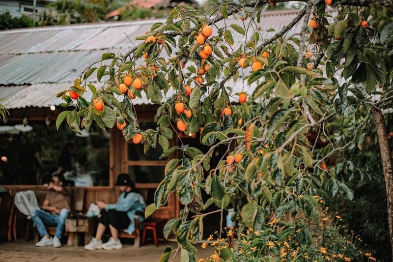 The Lucky Tree: Unlocking Three Generations of Wealth and Prosperity