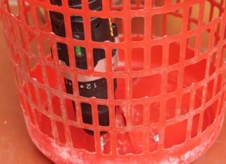 The Ultimate Guide to Year-Round Green Onion Harvests: Transform an Old Basket into a Continuous Supply of Delicious Scallions