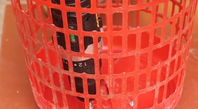 The Ultimate Guide to Year-Round Green Onion Harvests: Transform an Old Basket into a Continuous Supply of Delicious Scallions