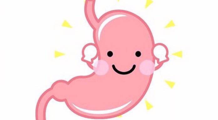 Where to Buy Century Eggs That Are Both Delicious and of High Quality?