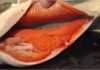 “The Surprising Truth: Salmon Roe is More Nutritious Than the Fish Flesh”