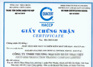 Premium Chicken Eggs vs. Rubber Eggs: Which Will You Choose?