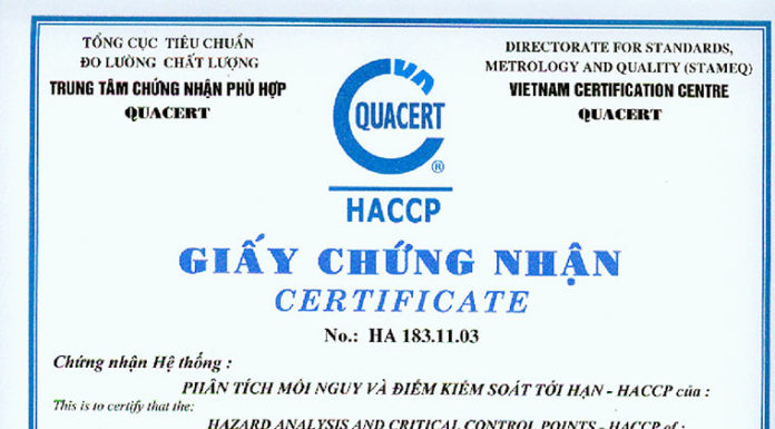 Premium Chicken Eggs vs. Rubber Eggs: Which Will You Choose?