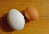 Which is More Nutritious: Chicken or Duck Eggs?