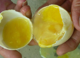 Are Fertilized Eggs Safe to Consume? How to Identify a Fertilized Egg and a Half-Hatched One.
