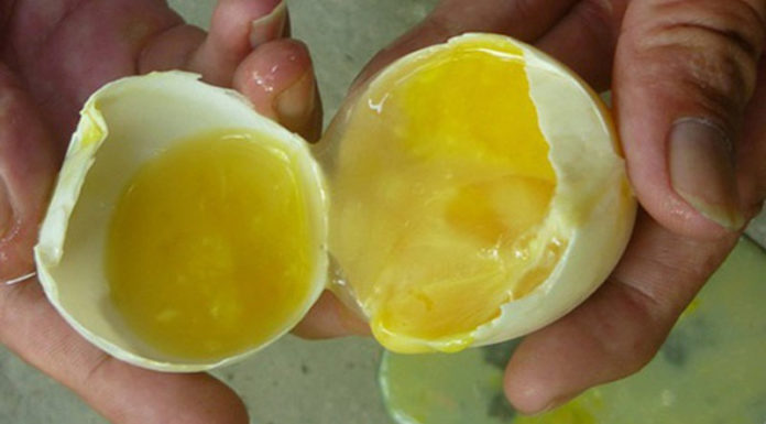 Are Fertilized Eggs Safe to Consume? How to Identify a Fertilized Egg and a Half-Hatched One.