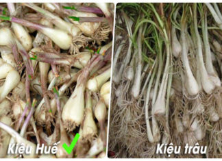 The Ultimate Guide to Crispy, Delicious Pickled Shallots