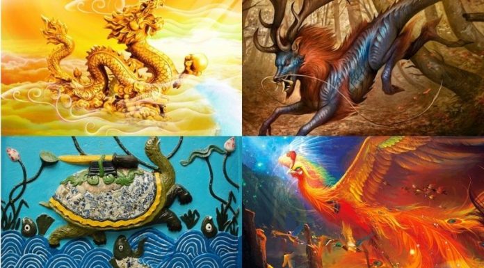 What is the Four No-Shows? Understanding the Folk Significance of the Four No-Shows.