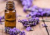 “The Magic of Lavender: Crafting Essential Oil to Freshen Your Abode and Banish Bugs.”