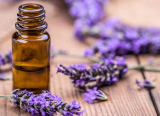 “The Magic of Lavender: Crafting Essential Oil to Freshen Your Abode and Banish Bugs.”