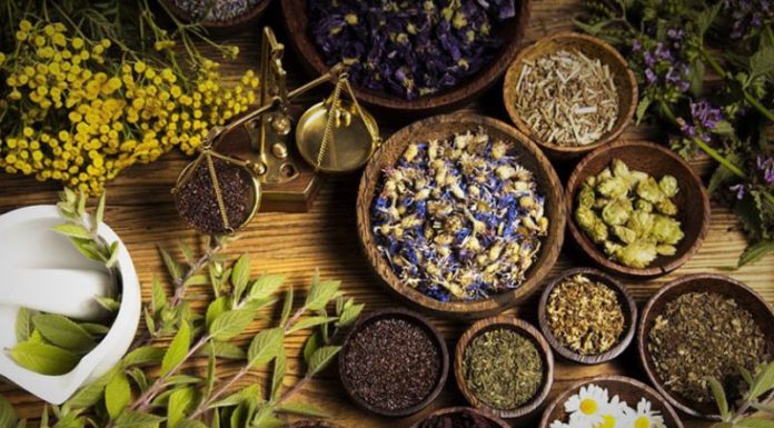 Herbal Home Dehydration: Safe and Economical