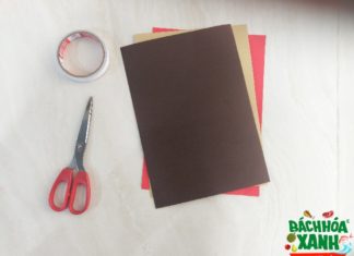 The Perfect DIY Card for Your Loved One This March 8th