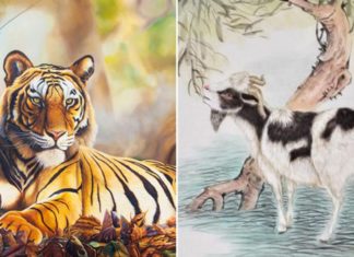 The Power of Three: Navigating Challenges to Soar Towards Success