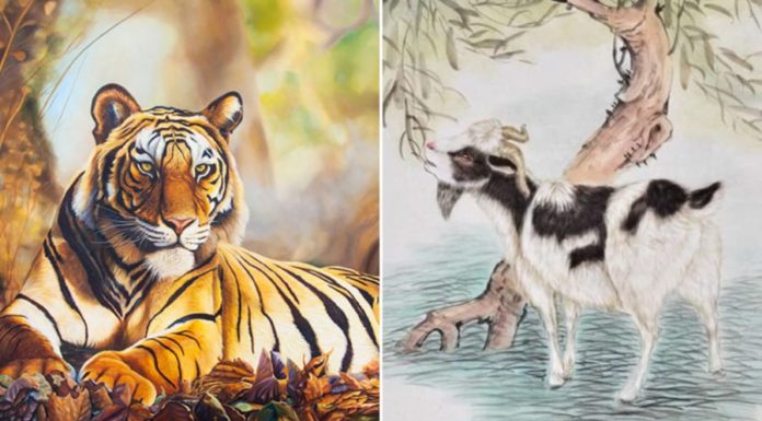 The Power of Three: Navigating Challenges to Soar Towards Success