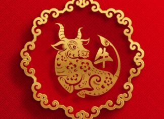 What is the Luck of Those Born in the Year of the Buffalo, 1985? Who Are Their Best and Worst Matches?