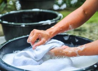 The Best Watering Techniques for Healthy Plants: Avoid These 3 Common Mistakes