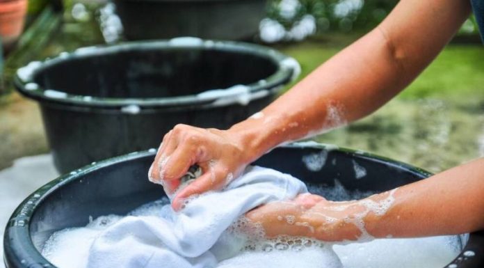 The Best Watering Techniques for Healthy Plants: Avoid These 3 Common Mistakes